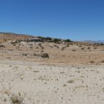 Date harvesting Coachella Valley California