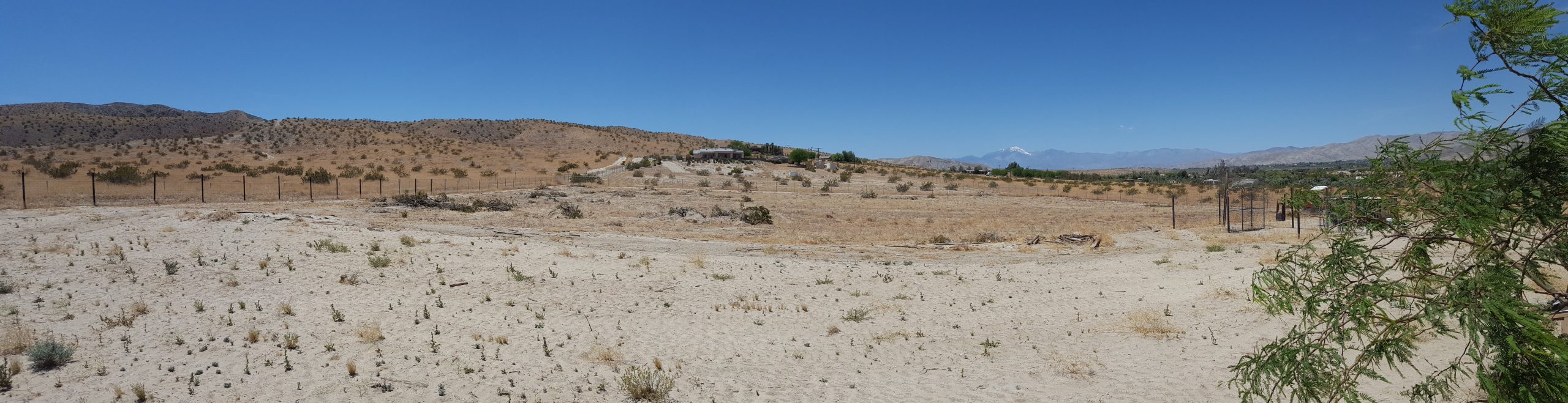 Date harvesting Coachella Valley California