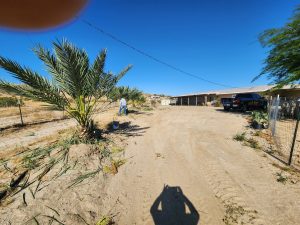 Medjool Dates Shipped to Chula Vista, CA | Desert Sun Dates
