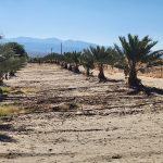 California date farm view