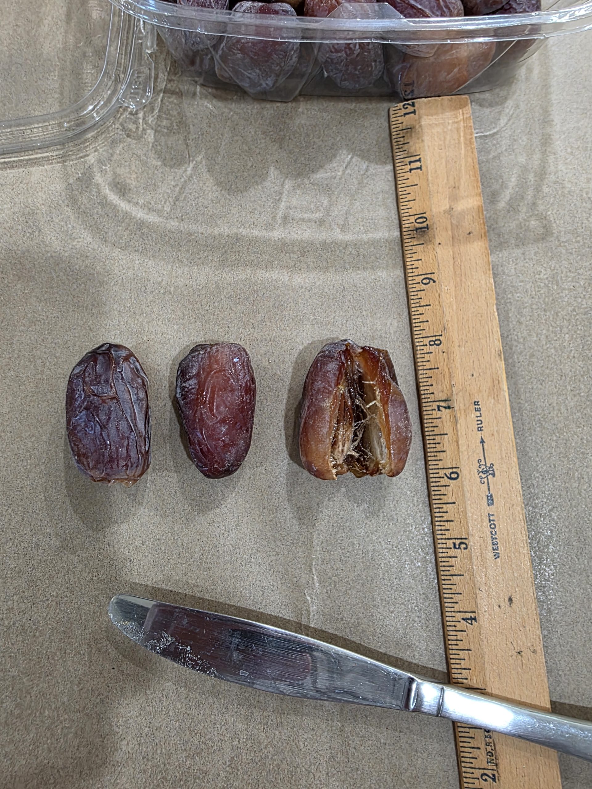 Jumbo Medjool dates from the 2026 harvest measured against a ruler at Desert Sun Dates — about two inches long