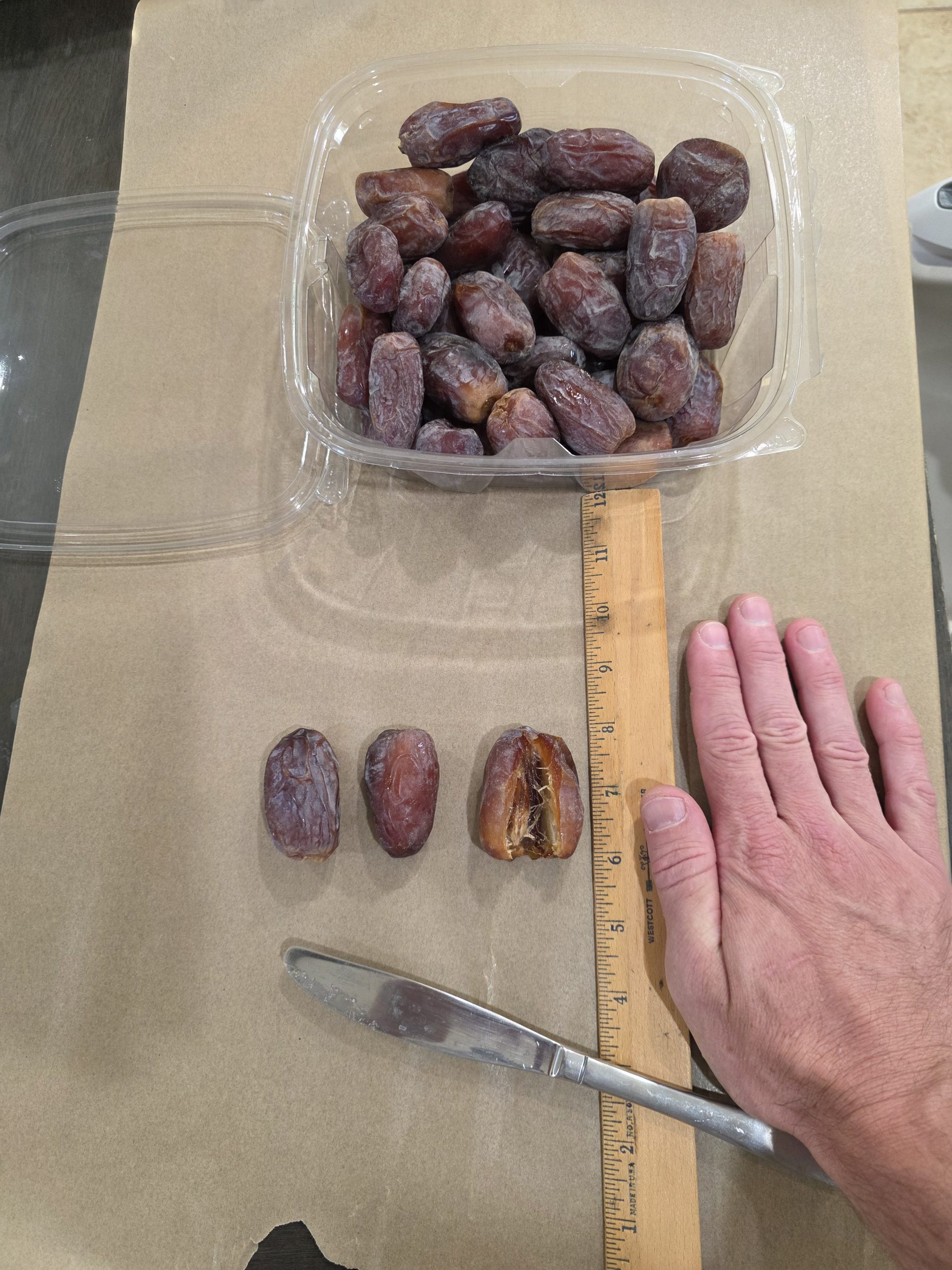 Jumbo Medjool dates from the 2026 harvest measured against a ruler at Desert Sun Dates — about two inches long