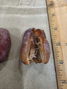 Bacon-Wrapped Medjool Dates (Devils on Horseback) — A Date Farmer's Recipe