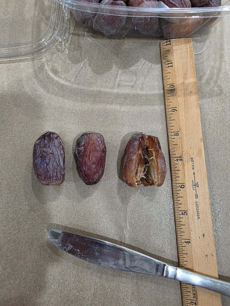 Jumbo Medjool dates from Desert Sun Dates farm in Sky Valley, California
